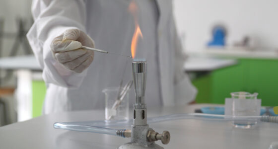 Bunsen burner